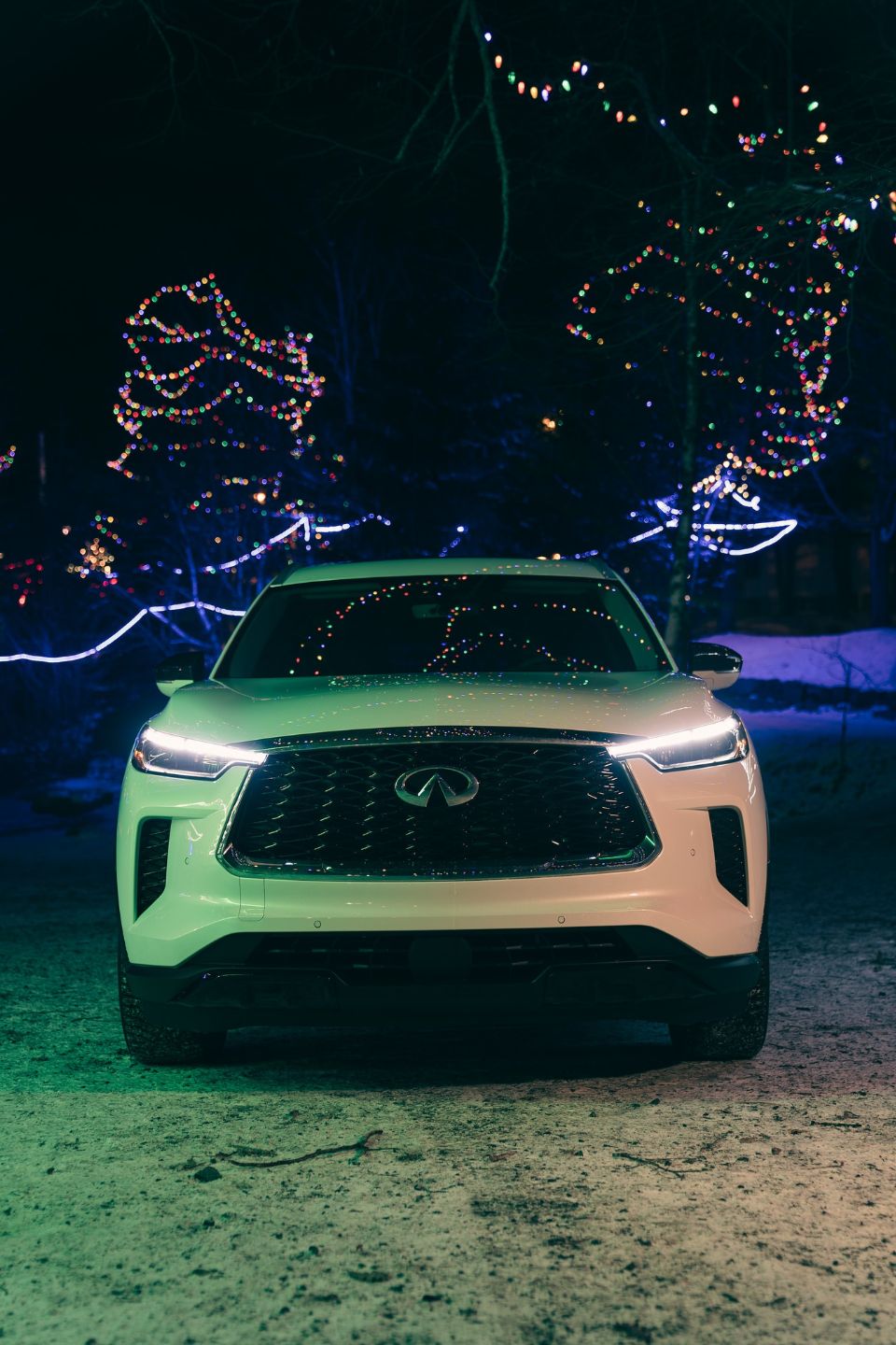 Bangalore to Bandipur Car Rental (Fare, 2024 Packages)